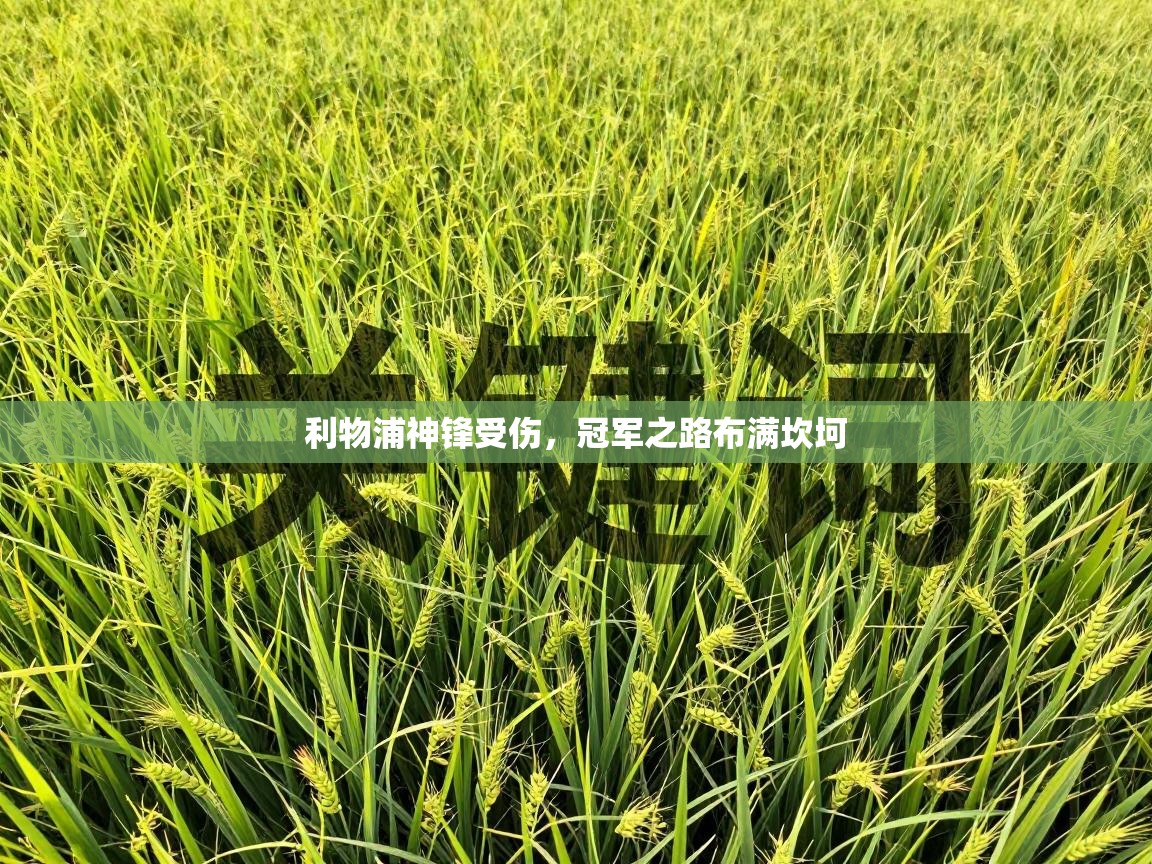 利物浦神锋受伤，冠军之路布满坎坷  第1张