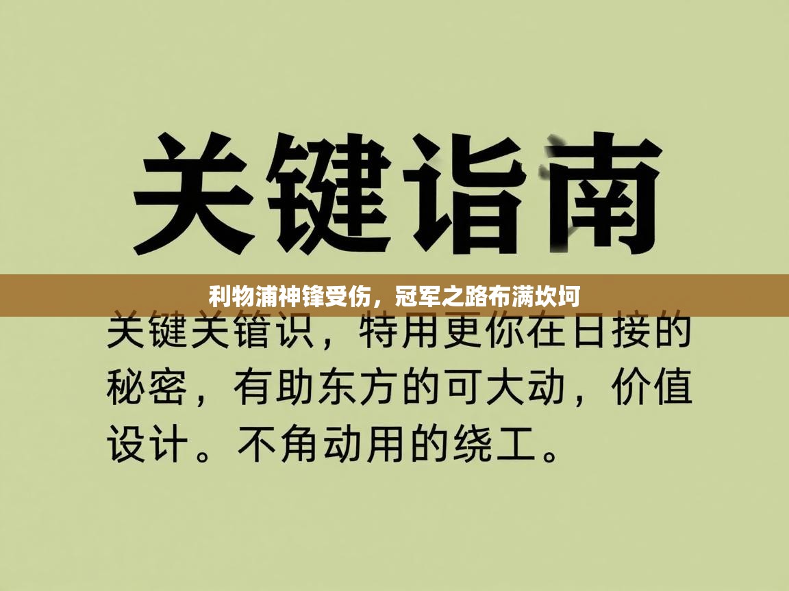 利物浦神锋受伤，冠军之路布满坎坷  第2张