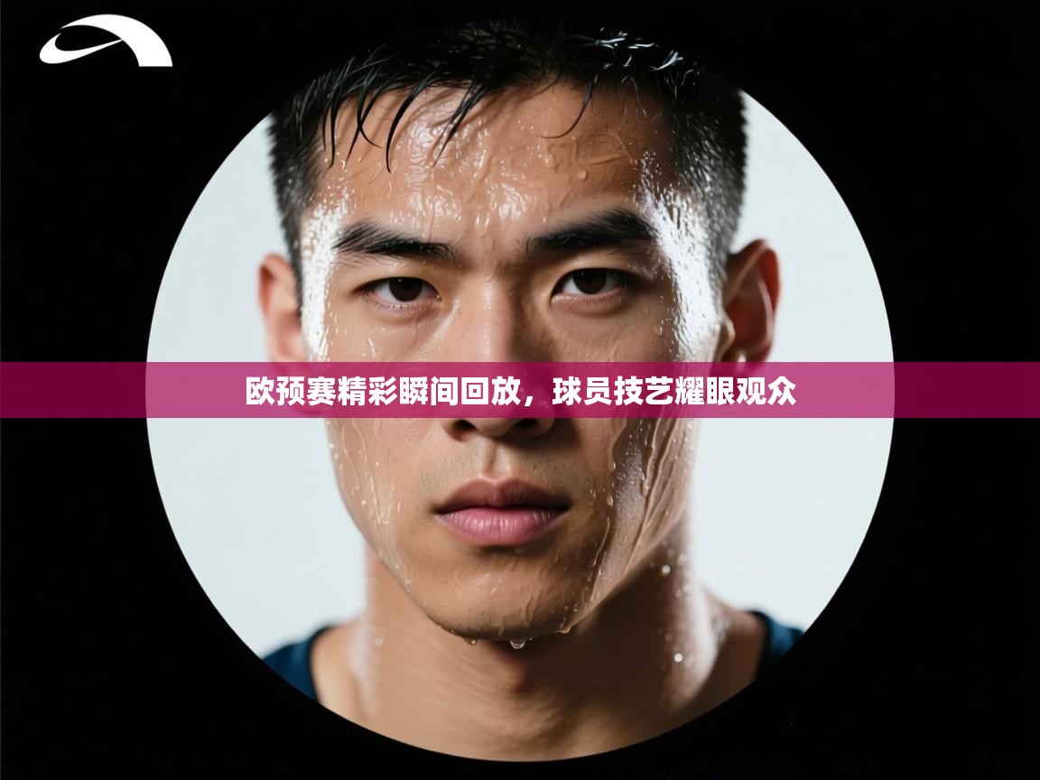 欧预赛精彩瞬间回放，球员技艺耀眼观众  第2张