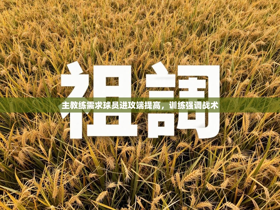 主教练需求球员进攻端提高，训练强调战术  第1张