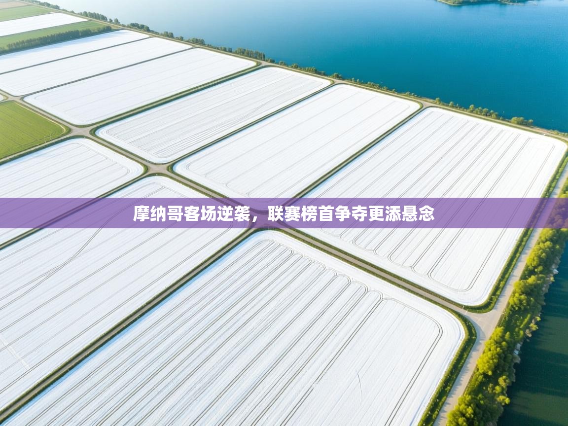 摩纳哥客场逆袭，联赛榜首争夺更添悬念  第1张