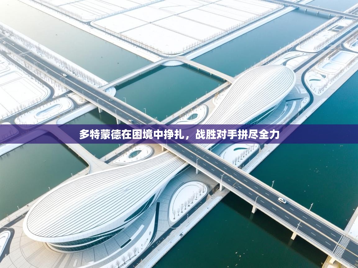 多特蒙德在困境中挣扎，战胜对手拼尽全力  第1张