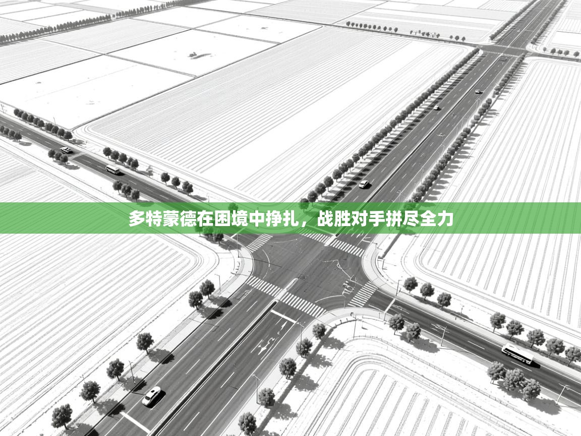 多特蒙德在困境中挣扎，战胜对手拼尽全力  第2张