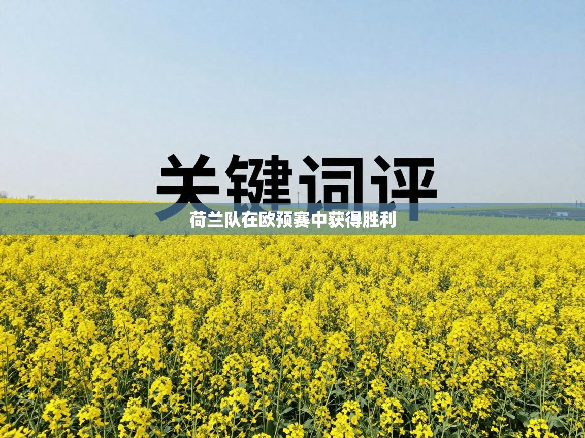 荷兰队在欧预赛中获得胜利